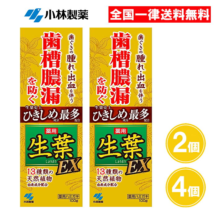 生葉 生葉EX 100g 2個 4個 ひきしめ最多 薬用ハミガキ 歯槽膿漏 歯みがき粉 医薬部外品 小林製薬