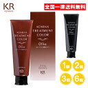ケンラックストリートメントカラー ブラック ブラウン 1個 2個 3個 6個 ヘアマニキュア カラートリートメント インターコスメ
