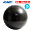 アルインコ エクササイズボール 75cm WBN075 ブラック 大きめ エアーポンプ付 大き目 バランスボール 男性