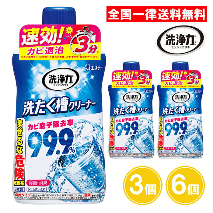 洗浄力 洗たく槽クリーナー 550g 3個 6個 洗濯槽クリーナー 洗濯槽 カビ クリーナー 液体 塩素系 エステー