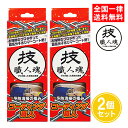 技職人魂 コーティング職人 200ml 2個セット 防汚 コーティング剤 ガラス系 キッチンシンク トイレ 洗面台 プロ用 業務用 允・セサミ