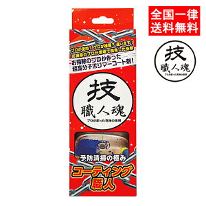 技職人魂 コーティング職人 200ml 防汚 コーティング剤 ガラス系 キッチンシンク トイレ 洗面台 プロ用 業務用 允・セサミ