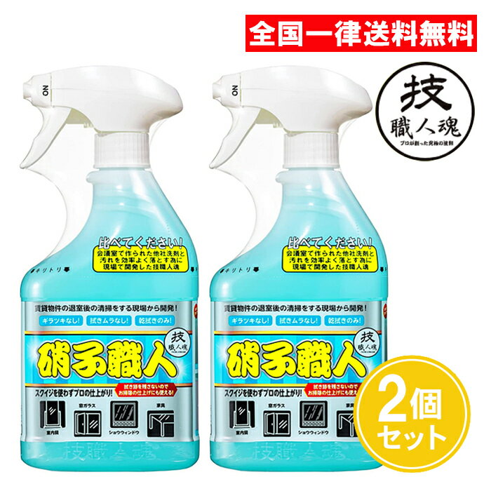 技職人魂 硝子職人 500ml 2個セット 硝子専用洗浄剤 ガラスクリーナー 窓ガラス 洗剤 硝子用洗剤 プロ用 業務用 允 セサミ