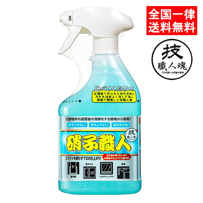 技職人魂 硝子職人 500ml 硝子専用洗浄剤 ガラスクリーナー 窓ガラス 洗剤 硝子用洗剤 プロ用 業務用 允 セサミ