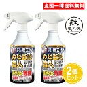 技職人魂 カビ取り職人 500ml 2個セット カビ取り 洗剤 カビ取り剤 お風呂 浴室 天井 強力 プロ用 業務用 允・セサミ 大掃除