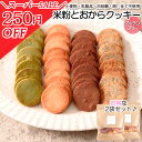 【スーパーSALE限定 260円引き開催中!!】 1:1米粉と おからクッキー (2袋セット) グルテンフリー ダイエットクッキー 豆乳おからクッキー ダイエット食品 置き換え ヘルシー 健康 小麦粉不使用 卵不使用 米粉 ロカボ おいしい 父の日 贈り物 ギフト