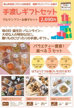 350円引きクーポンあり！ 【送料無料！ 手提げカゴ風バッグ付き】 お菓子 9種セット 手渡しギフト 母の日 父の日 プレゼント グルテンフリー クッキー ダイエットスイーツ おからクッキー ポイント消化 おいしい 【グルテンフリーお菓子 手渡しギフト】