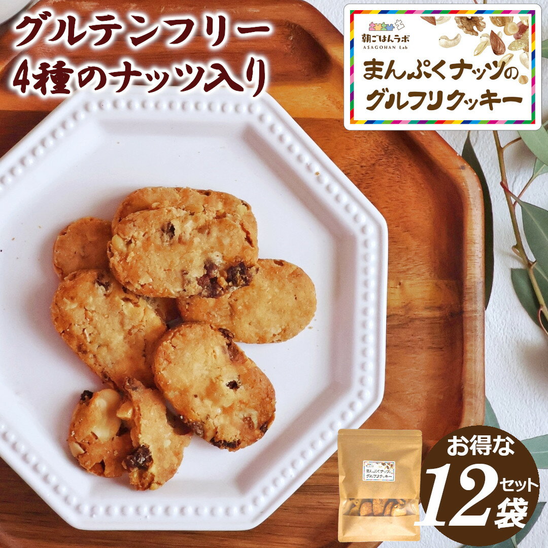 お得なまとめ買い(1袋140g×12袋セット) ダイエットクッキー グルテンフリー ナッツ クッキー おつまみ ダイエット 置き換え 小麦粉不使用 卵不使用 健康 おいしい ホワイトデー お返し ギフト プレゼント 