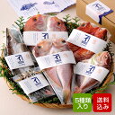 減塩 干物セット 5種類入 添加物不使用 干物 海鮮 九州 冷凍 母の日 花以外 ギフト