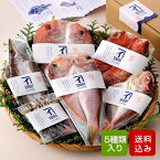 干物セット 減塩 5種類入 無添加 干物 海鮮 九州 冷凍 ギフト