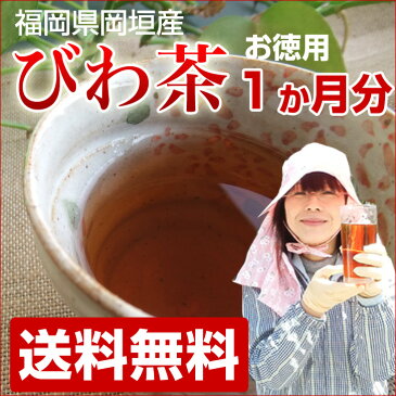 びわの葉茶 1か月分 30袋入 無農薬 びわ茶 福岡県産 ゆうパケット限定で送料無料