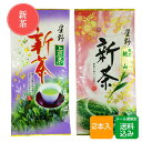 【新茶】八女茶 飲みくらべ2本セット(80g ×2本入) 星野村 福岡産 メール便