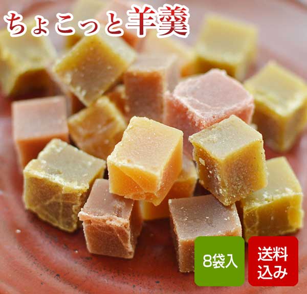 羊羹 ちょっことようかん 8袋入 お配りお中元 ギフト お盆のお供え 田中羊羹本舗