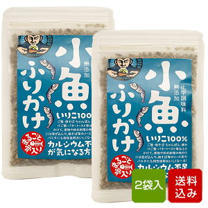 小魚ふりかけ 無添加 無着色 2袋入 福岡県産 DOCORE メール便