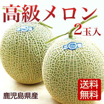 【送料無料】高級メロン 2玉入 お歳暮 お年賀 メッセージカード対応