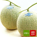 【送料無料】高級メロン 2玉入 卒園 卒業 お返し メッセー...