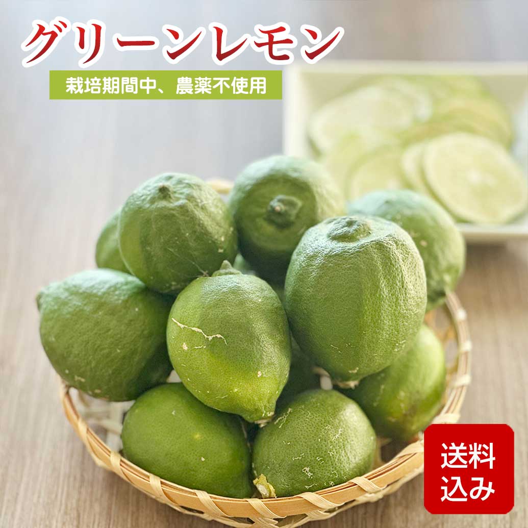 楽天市場】国産レモン ノーワックスの通販