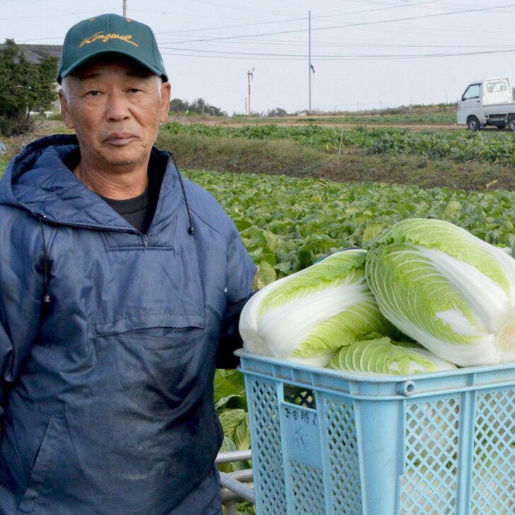 大根 1本 福岡産