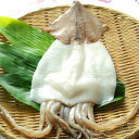 干物 スルメイカ 一夜干し 佐賀県唐津産 【無添加・無着色】 - 朝ごはん本舗