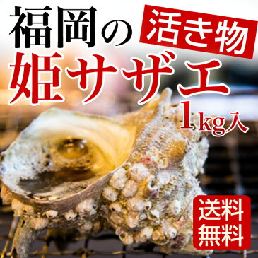 【送料無料】活さざえ1kg 福岡県芦屋産 姫サザエ 砂抜き済 贈り物 内祝 誕生日祝い 御礼 お供え ギフト プレゼント メッセージ カード