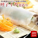 剣先イカ 姿造り 呼子イカ 刺身 玄界灘 おつまみ 海鮮 福岡県産 冷凍便 母の日 花以外 ギフト