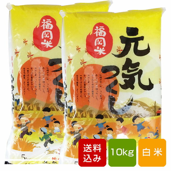 【新米】元気つくし 10kg 白米 一等米 福岡県産 令和元年産 送料無料...