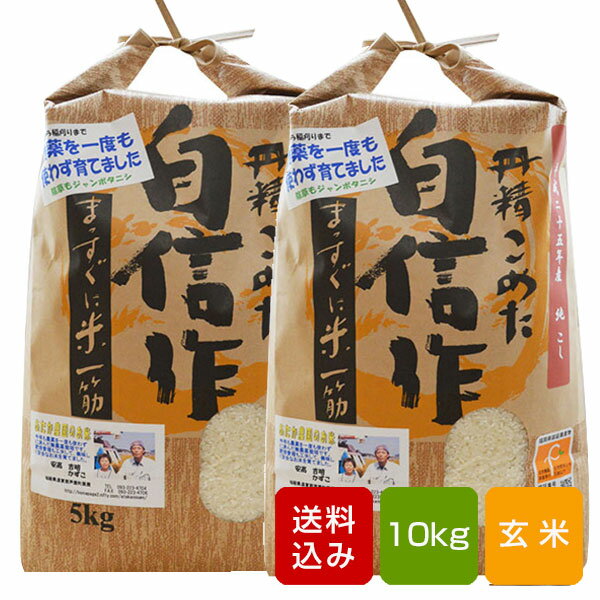 【送料無料】無農薬玄米 10kg コシヒカリ福岡県産 30年度産