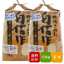 【新米】無農薬玄米 10kg コシヒカリ福岡県産 令和元年産 送料無料