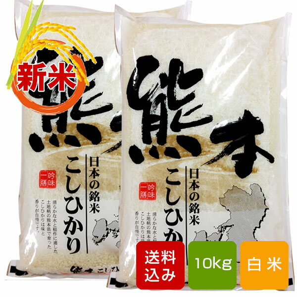 【新米】熊本県産コシヒカリ 10kg 白米 一等米 令和元年産 送料無料...