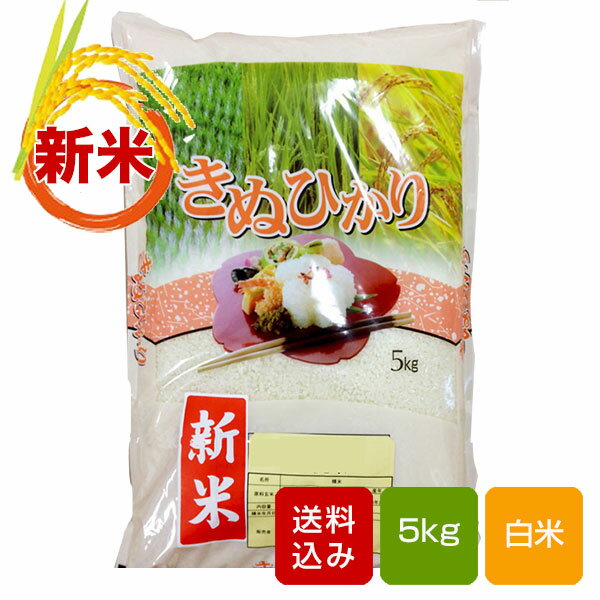 【新米】熊本キヌヒカリ 5kg 白米 熊本県産 令和4年産 ギフト...