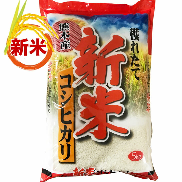 【送料無料】熊本コシヒカリ 5kg 白米 一等米 熊本県産 30年度産