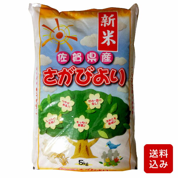 さがびより 白米または無洗米が選べる一等米 佐賀のお米 コメ こめ 令和5年産 1