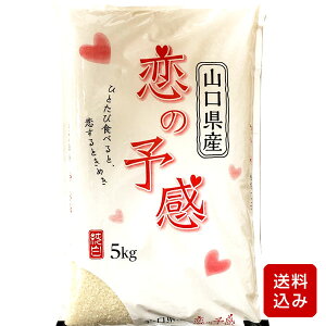 恋の予感 白米または無洗米から選べる一等米 コメ 米 お米 山口県産 令和5年産