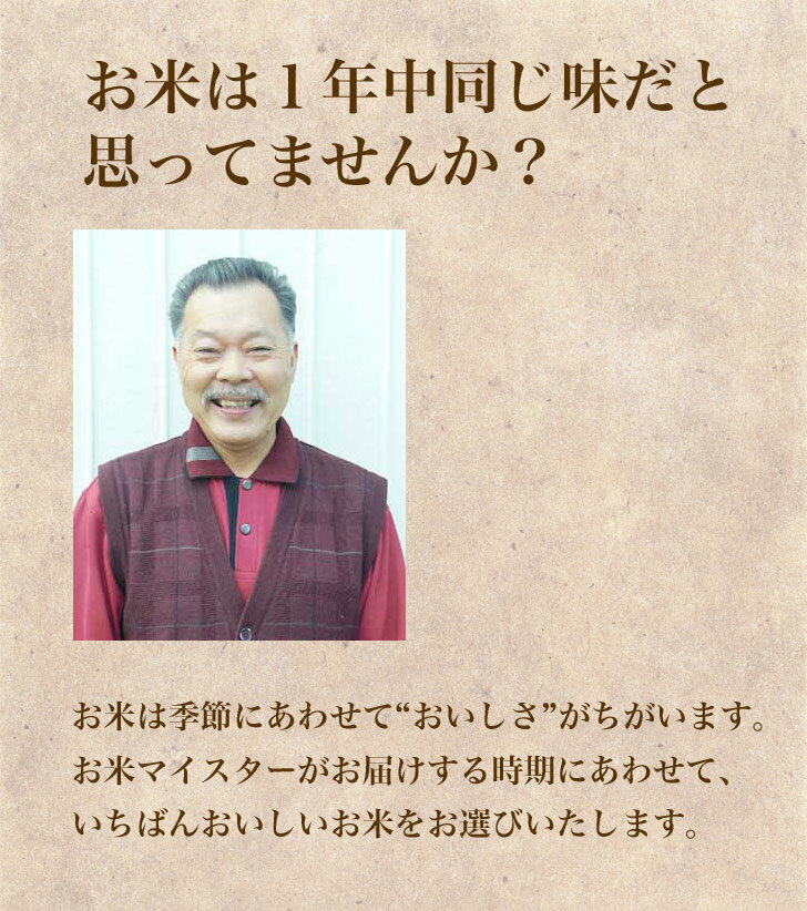 森のくまさん 無洗米 2kg 米 コメ 一等米 熊本県産 令和5年産 3