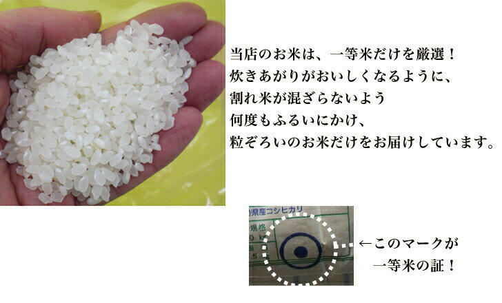 森のくまさん 無洗米 2kg 米 コメ 一等米 熊本県産 令和5年産 2