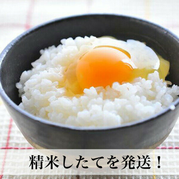 【新米2020】夢つくし 無洗米 10kg 福岡県産 令和2年産 お歳暮 ギフト