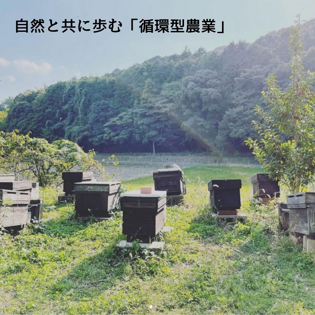【3本以上で送料無料】純国産 はちみつ れんげ蜜 百花蜜 母の日 花以外 ギフト
