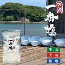 一番塩 100g 海塩 平釜 塩 天然塩 天日塩 福岡県産 メール便