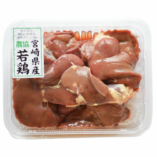 九州産 鶏肝 レバー 200g 鶏肉 若鶏 国産 国内産 チルド クール便のサムネイル