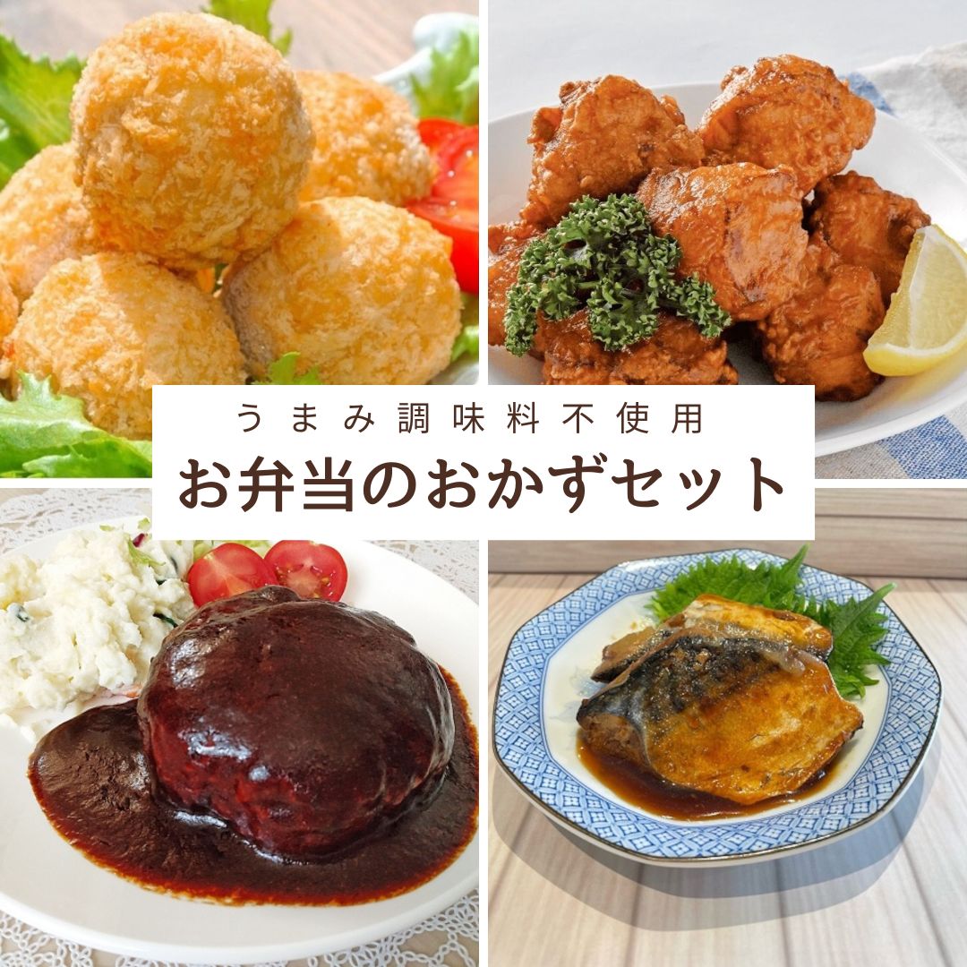 お弁当のおかずセット 惣菜4種類入 肉惣菜 魚惣菜 レンチン うまみ調味料不使用 冷凍便