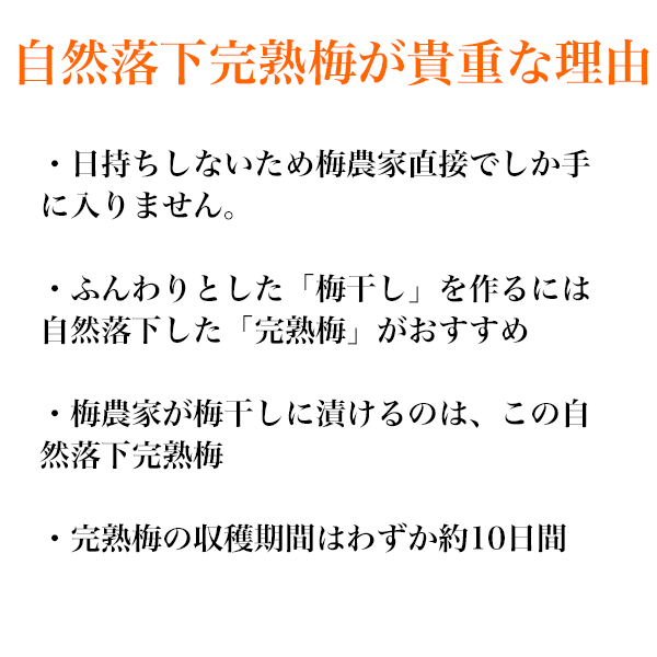 南高梅 完熟 梅干し用 2L～4L 完熟南高梅 梅酒 梅ジュース梅 梅酢 大分産 クール便 ご予約品 3