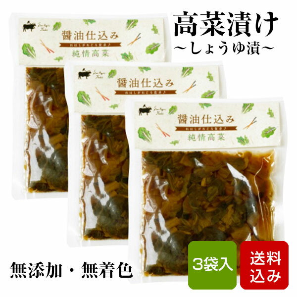 高菜 しょうゆ漬け 100g×3袋 着色料・甘味料・化学調味料不使用 国産 漬け物 高菜の漬物 宮崎県産 メール便