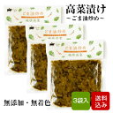 高菜 油炒め 100g×3袋 無添加 無着色 国産 漬け物 高菜の漬物 宮崎県産 メール便