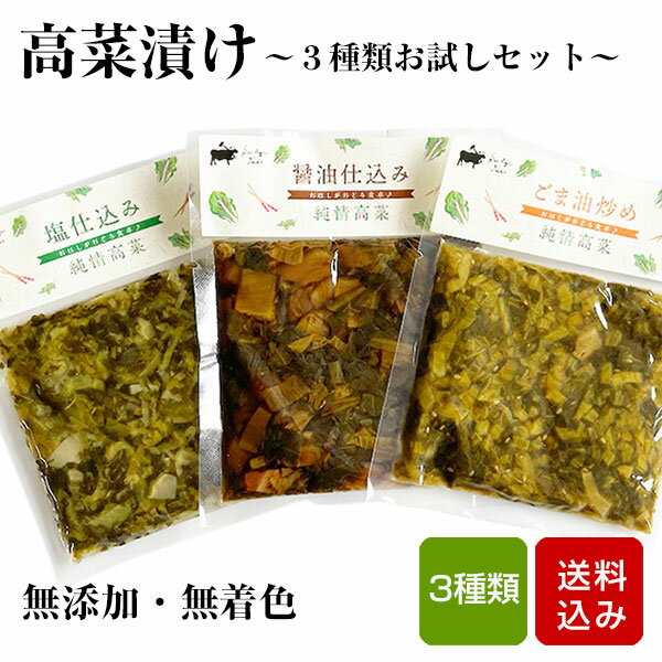 高菜 無添加 お試し3種類セット 100g 3袋 無着色 国産 漬け物 高菜の漬物 宮崎県産 メール便