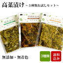 高菜 お試し3種類セット 100g×3袋 着色料・甘味料・化学調味料不使用 国産 漬け物 高菜の漬物 宮崎県産 メール便