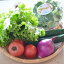 野菜セット(生野菜サラダ用)