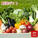 【母の日 花以外 ギフト】 野菜ギフト 8-9品 野菜つめ合わせ 誕生日祝い のし無料 クール便