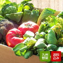 野菜セット 8-10品 野菜詰め合わせ 九州産 新鮮野菜 のし無料 クール便