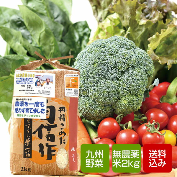 野菜と特別栽培米2kgセット 野菜詰め合わせ お中元 ギフト お盆のお供え 誕生日祝い のし無料のサムネイル