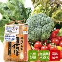 野菜と特別栽培米2kgセット 野菜詰